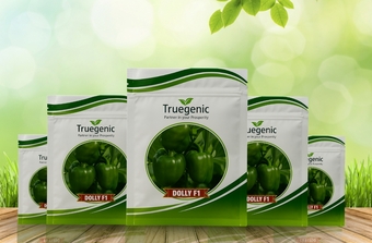 Truegenic Seeds